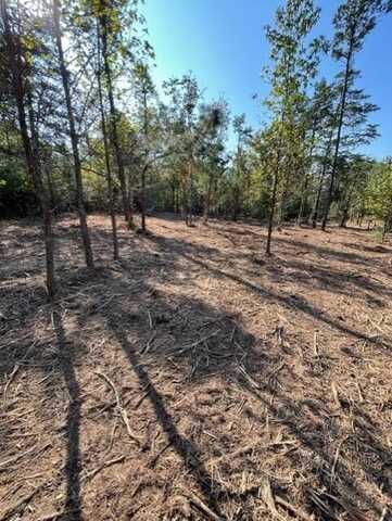 001 Private Road 4485, Ozone, AR 72845