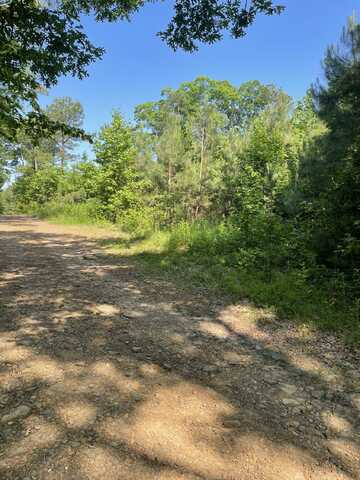 Private Road 4485, Ozone, AR 72845