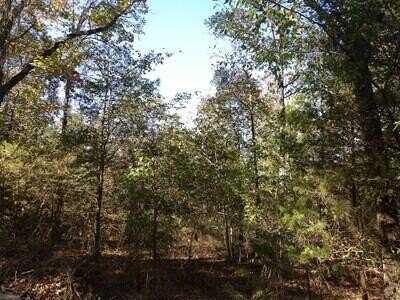 Tract 1 Land Off Meimerstorf Lane, Russellville, AR 72801