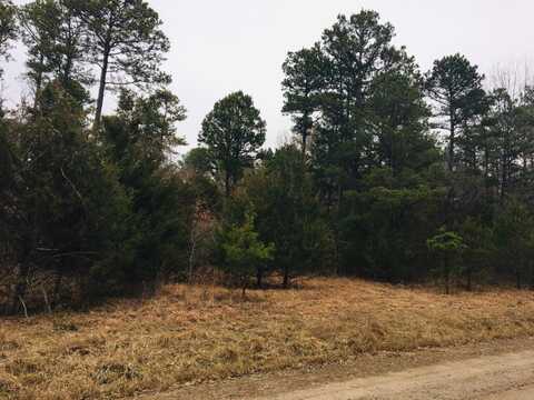 50 Eagles Nest, CR 1792, London, AR 72847