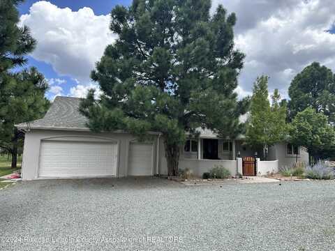 111 Blazing Star Trail, Alto, NM 88312