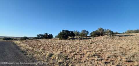 269 Windmill Road, Ancho, NM 88301