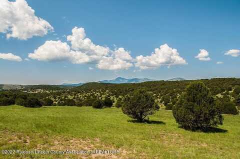 Lot 8 Rainmaker Drive, Alto, NM 88312