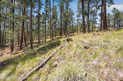 142 Candlewood Drive, Ruidoso, NM 88345