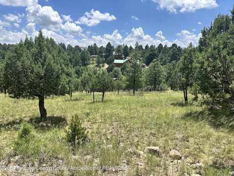 Lot 8 Mira Monte Road, Alto, NM 88312