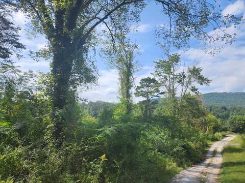 25.2 Acres Spring City Highway, Rockwood, TN 37854