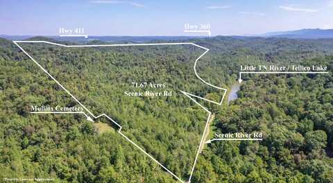 1125 Scenic River Road 71.67 Acres, Madisonville, TN 37354