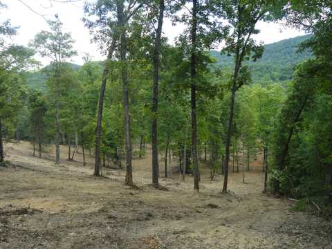 2277 Tellico Reliance Road, Reliance, TN 37369