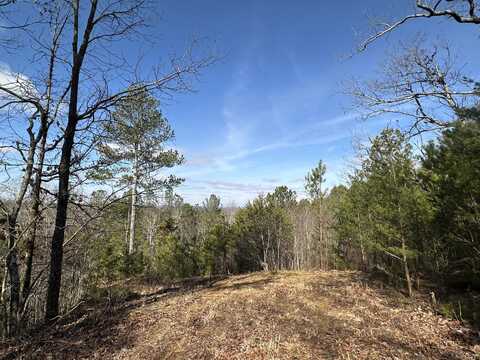 125 Fox Trail Drive, Old Fort, TN 37362