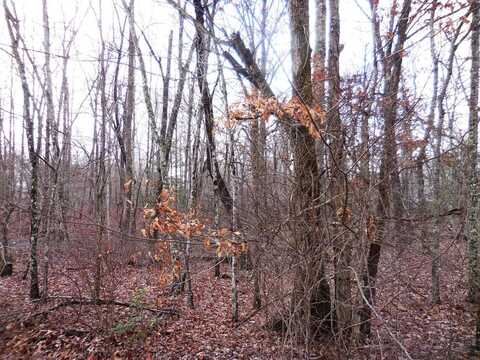 1143 Natchez Trace, Crossville, TN 38572