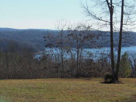 140 Quail Hollow Cove, Spring City, TN 37381