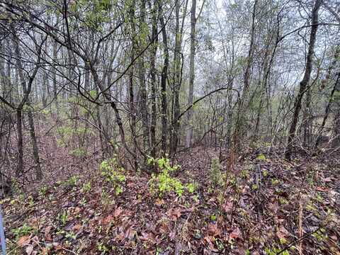 0 Cedar Lane, Spring City, TN 37381