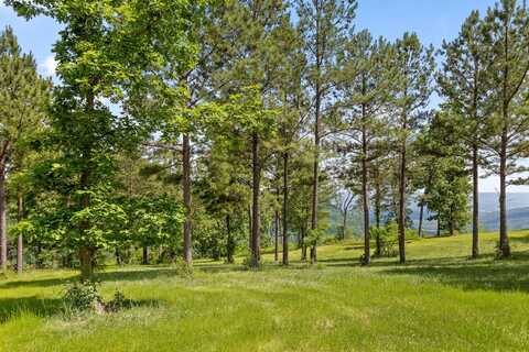 Lot 56 Sunset Circle, Jasper, TN 37347