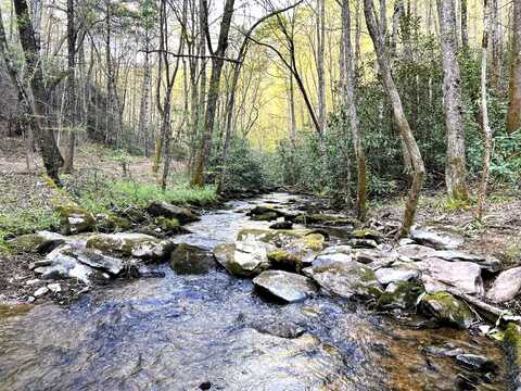 40 Acres Ivy Trail, Tellico Plains, TN 37385