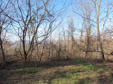 860 Ditch Gap Road, Whitwell, TN 37397