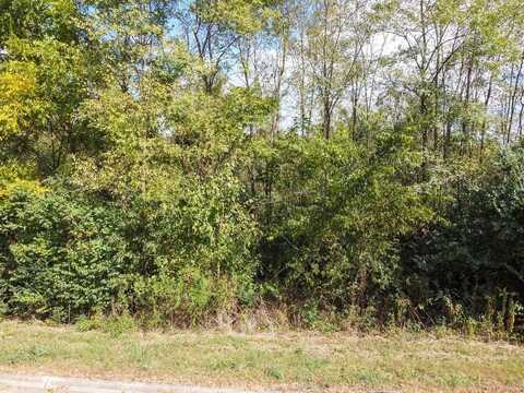 00 Ambernic Way, Sweetwater, TN 37874