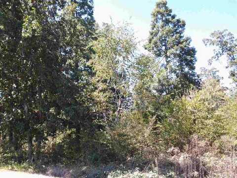 Oak Grove Road lot: 4, Madisonville, TN 37354