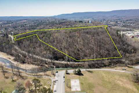 000 New Lake Road, Spring City, TN 37381