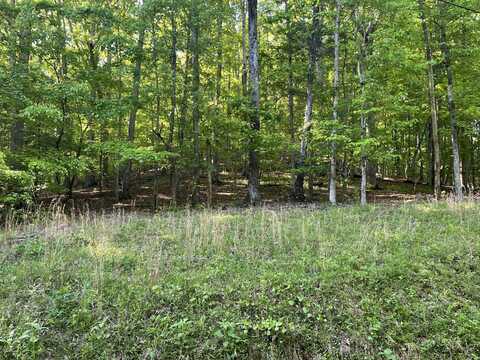 Lot 695 Rockview Drive, Spring City, TN 37381