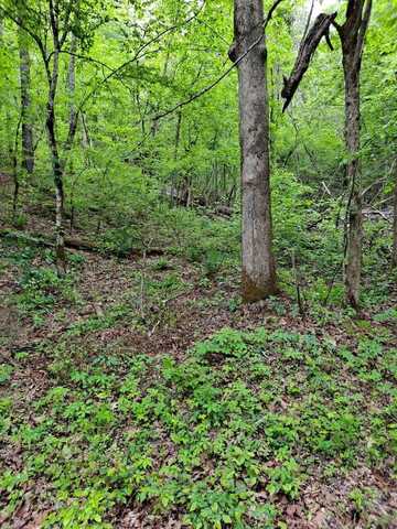 00 Childers Creek, Reliance, TN 37369