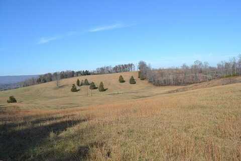 90+ Ac Old Rhea Springs Road, Spring City, TN 37381