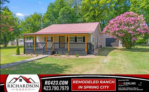 171 Shut In Gap Road, Spring City, TN 37381