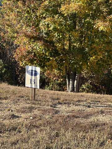 271 Hidden Forest Trail, Spring City, TN 37381