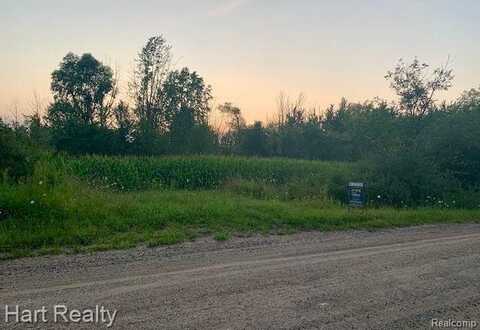 00 State Road, Applegate, MI 48401