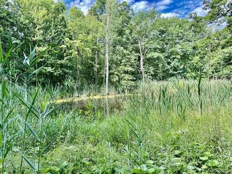 11366 E Holly Road, Davisburg, MI 48350