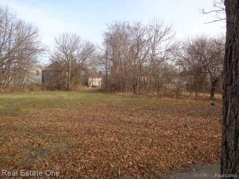 3806 BELVIDERE Street, Detroit, MI 48214