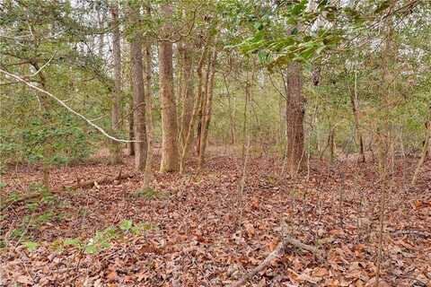 Lot A Lonesome Pine Trail, Lancaster, VA 22503