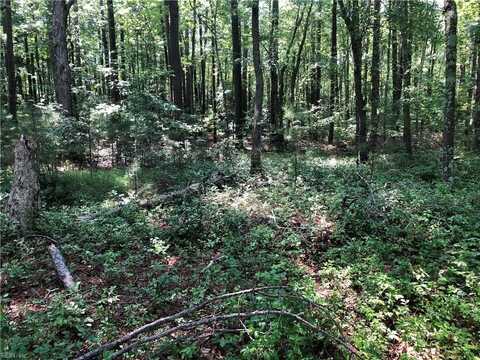 Lot 2A Pleasant Cove Drive, Exmore, VA 23350