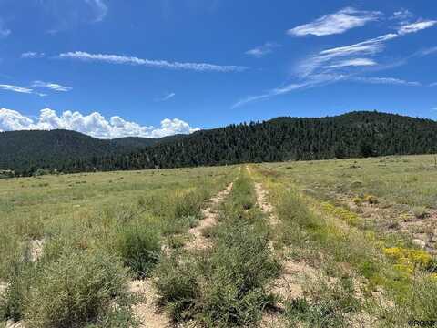 97 Pierce Gulch Road, Cotopaxi, CO 81223