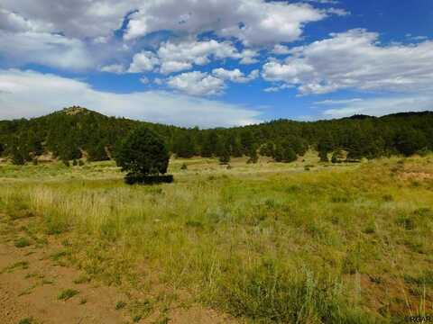 Tbd Seven Mile Ranch Road, Westcliffe, CO 81252