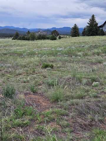 1787 24th Trail, Cotopaxi, CO 81223