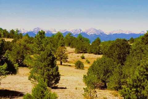 Tbd Lot 5 Bella Vista Drive, Westcliffe, CO 81252