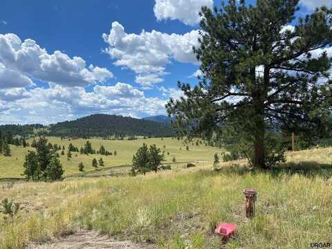 2302 Julia Road, Guffey, CO 80820