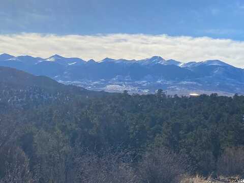 Tr-45 E Path, Cotopaxi, CO 81223