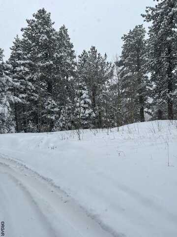 Lot 4 Lake Isabell Drive, Rye, CO 81069