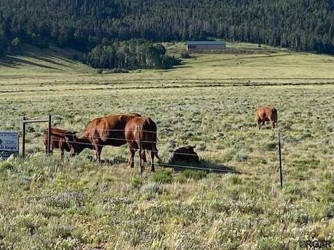 Tbd Eagle's Gate Road, Westcliffe, CO 81252