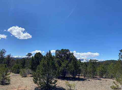 Tbd 11th Trail, Cotopaxi, CO 81223