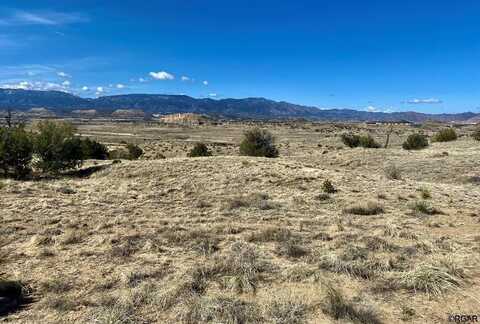 Lot 35 Hwy 67, Penrose, CO 81240