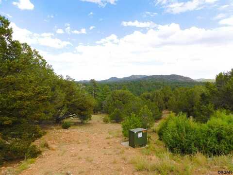 659 Coopers Canyon Road, Westcliffe, CO 81252