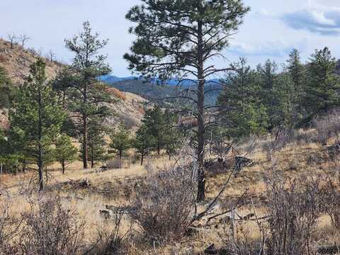 839 Shannon Trail, Cotopaxi, CO 81212