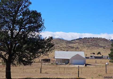 2576 L Path, Cotopaxi, CO 81223