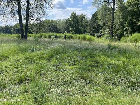 0 Green Rd Lot 1 & 2, Spring Hope, NC 27882
