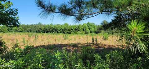 Lot 2 Savage Road, Spring Hope, NC 27882