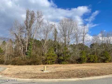 2599 Belmont Lake Drive, Rocky Mount, NC 27804