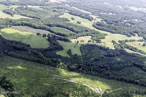 93 Acres Crooked Swamp Road, Whitakers, NC 27891