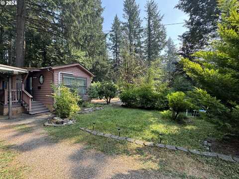 55636 McKenzie River DR, Blue River, OR 97413